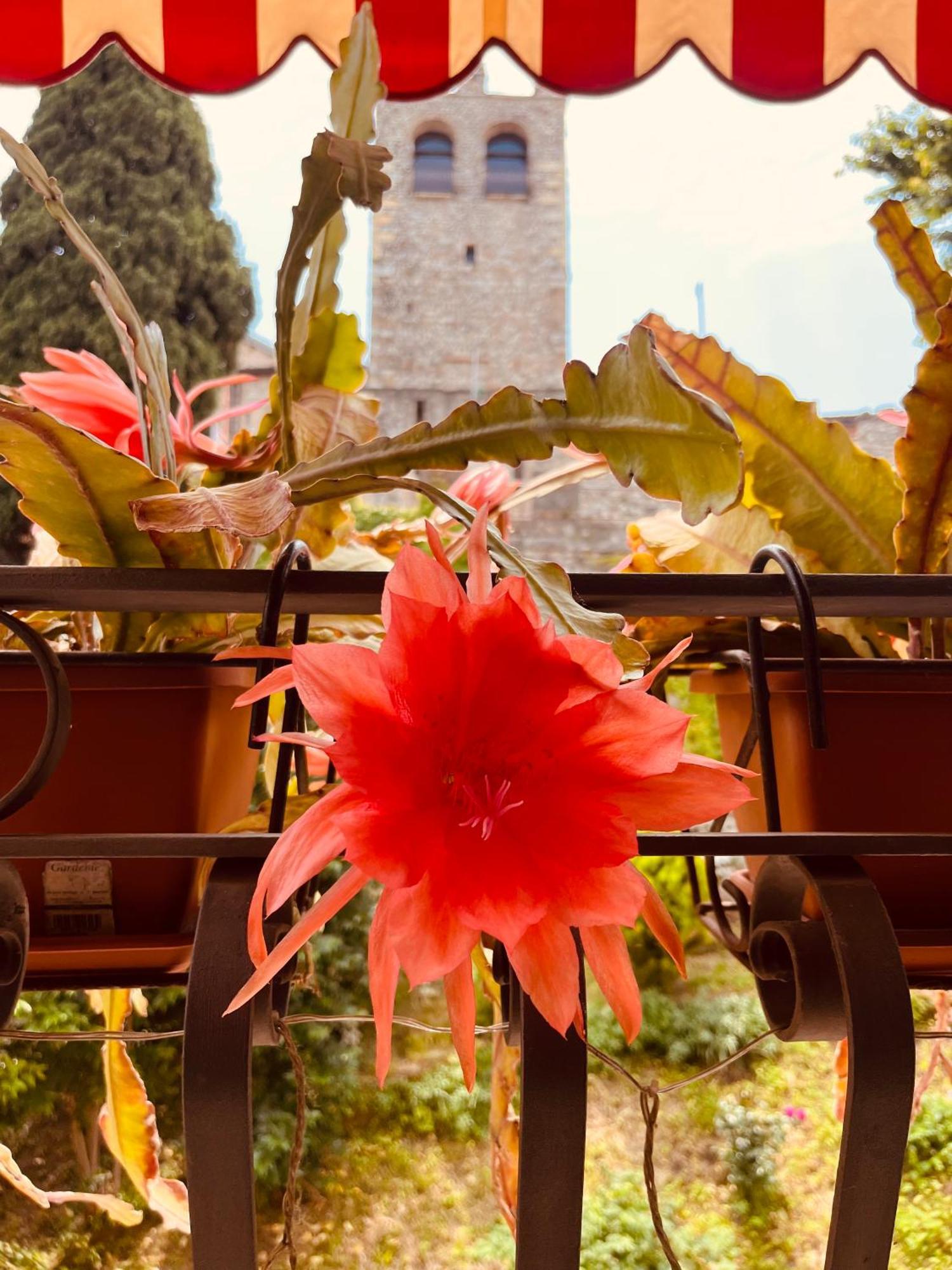 The Queen Tower Desenzano del Garda Extérieur photo